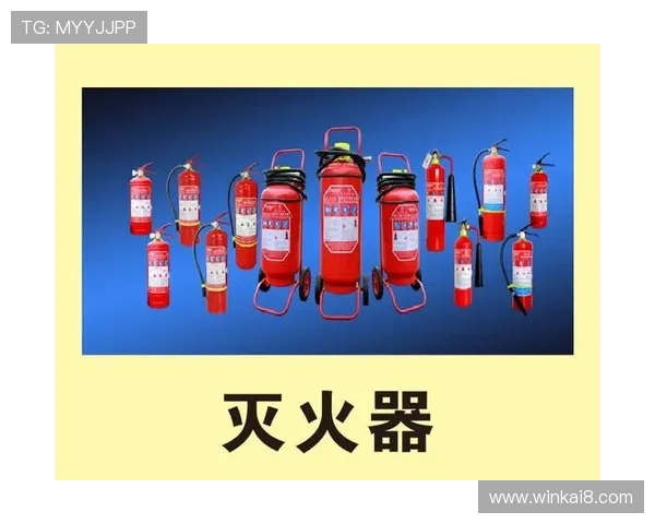 凯发k8娱乐官网入口官方登录入口推荐，确保每位玩家都能顺利进入游戏大厅