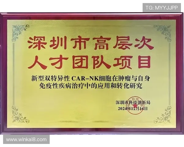 K8凯发的网址登录流程详解，帮助新手玩家顺利注册与登录